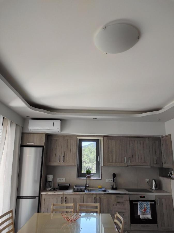 Iris Villas Complex Frínion 外观 照片